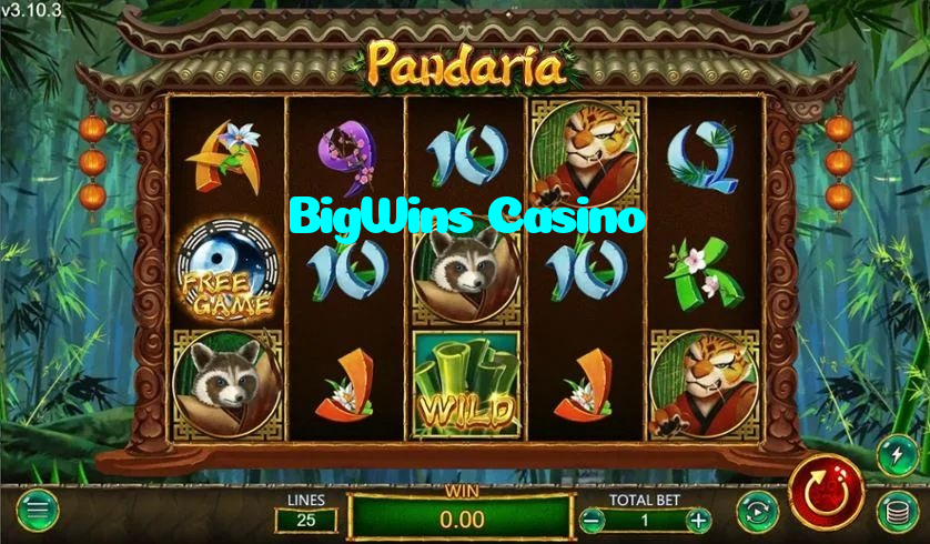 BigWins Casino casino presented on mobile device in Pakistan with slots and live games